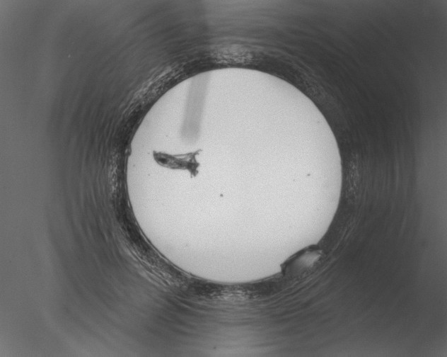 X0000076390600200611031657