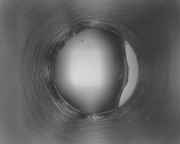 X0000076390607200611031657