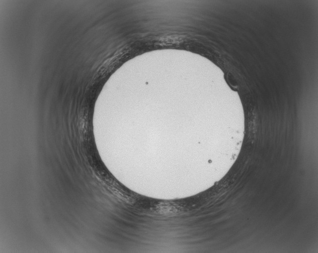 X0000076390608200611031657