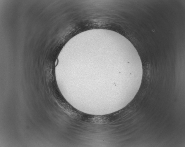 X0000076390615200611031657