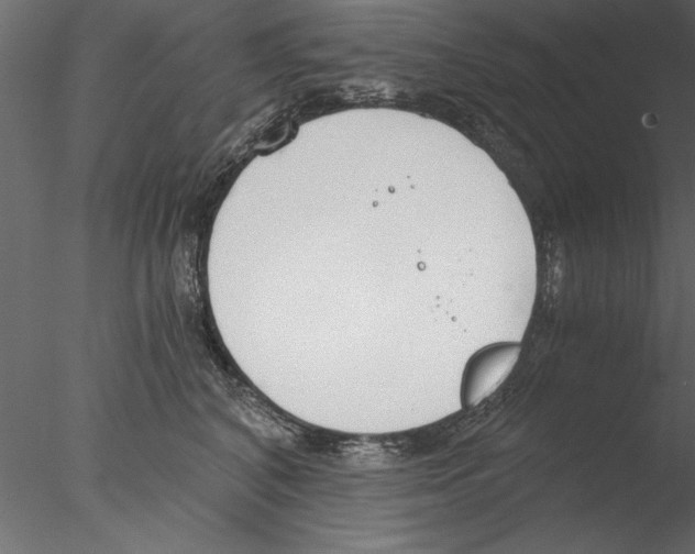 X0000076390616200611031657