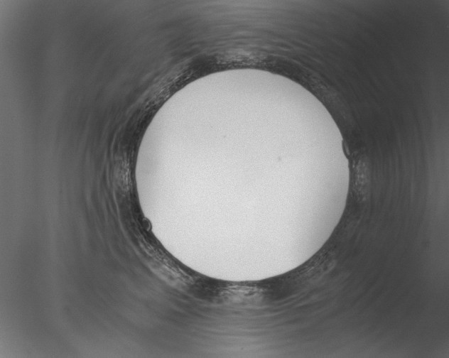 X0000076390617200611031657