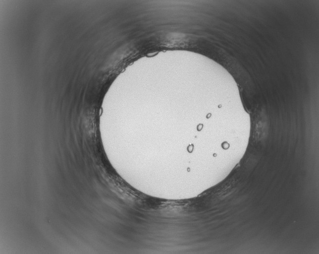 X0000076390620200611031657