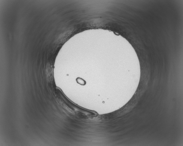 X0000076390624200611031657