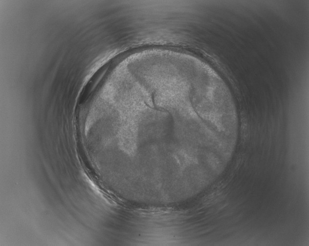 X0000076390626200611031656