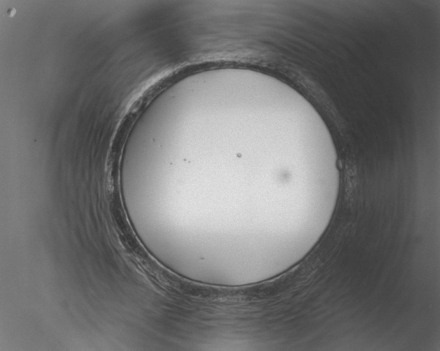 X0000076390628200611031656