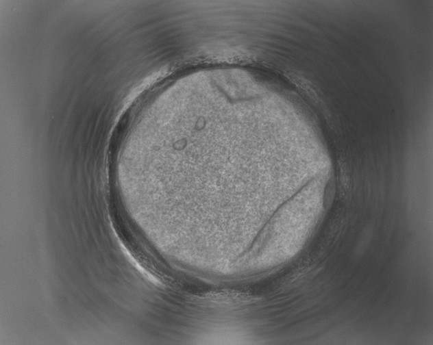 X0000076390630200611031656