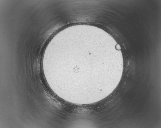 X0000076390632200611031656