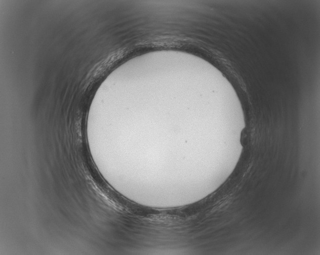 X0000076390633200611031656