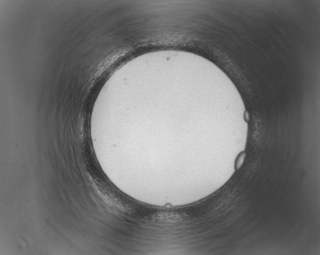 X0000076390636200611031656