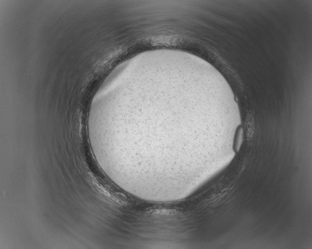 X0000076390637200611031656