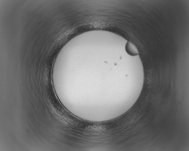 X0000076390639200611031656