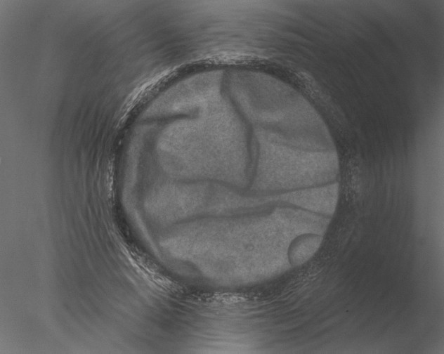 X0000076390640200611031656