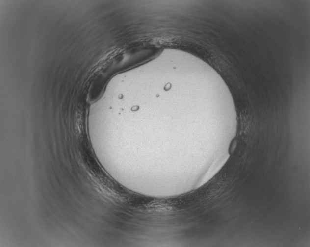 X0000076390648200611031656