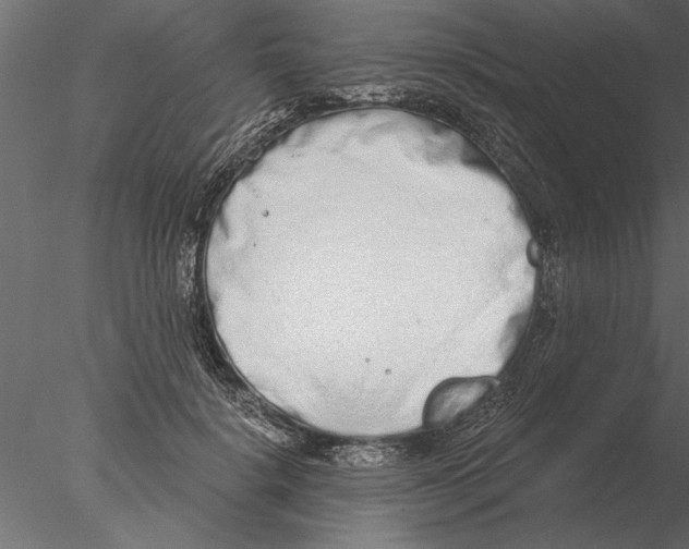 X0000076390652200611031656