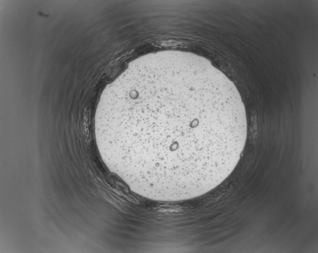 X0000076390653200611031656