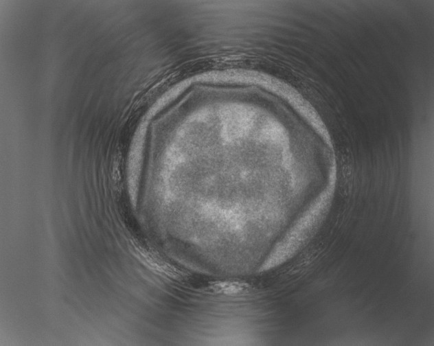 X0000076390654200611031656