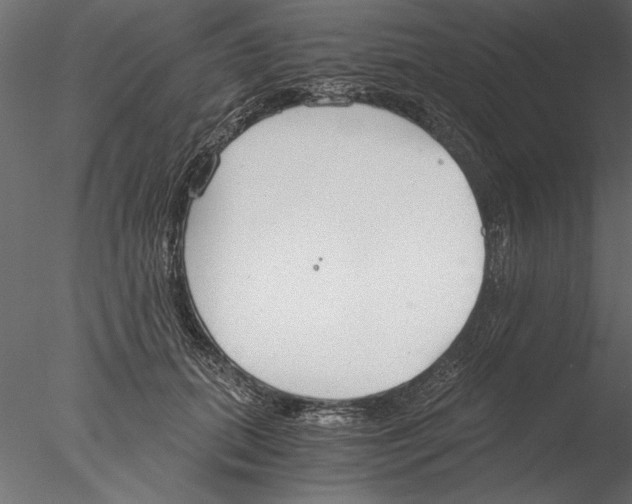 X0000076390655200611031656