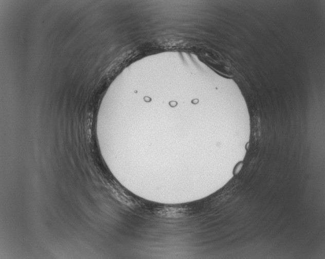 X0000076390664200611031656