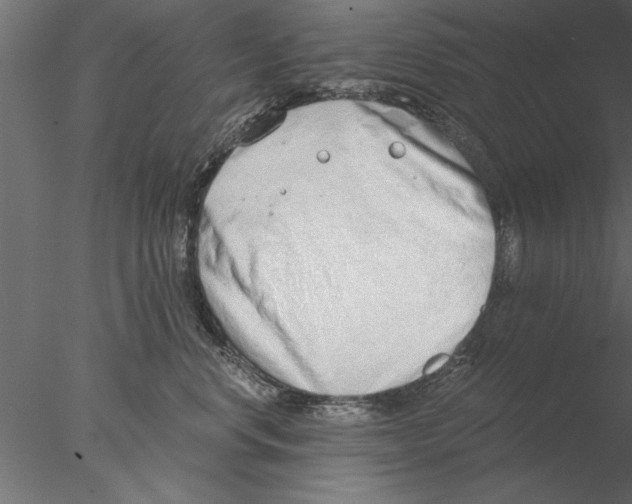 X0000076390668200611031657