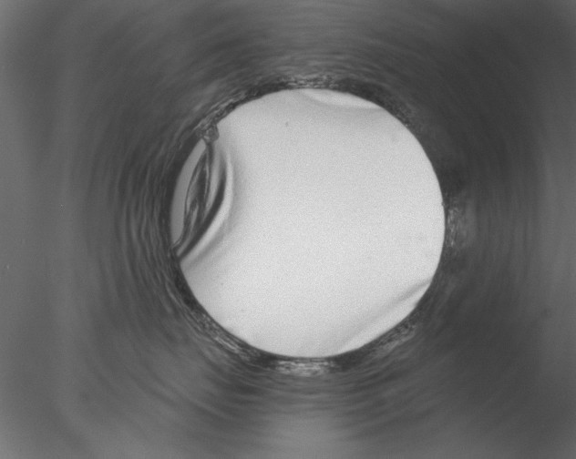 X0000076390671200611031657