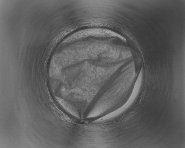 X0000076390673200611031656