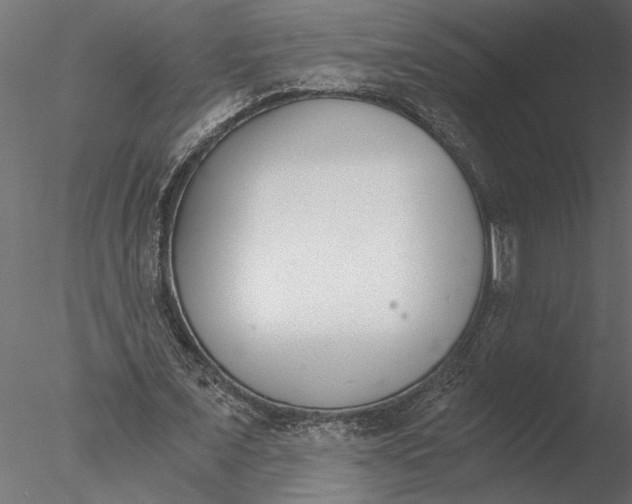 X0000076390675200611031656