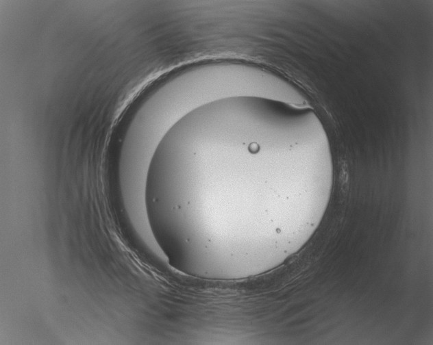 X0000076390676200611031656