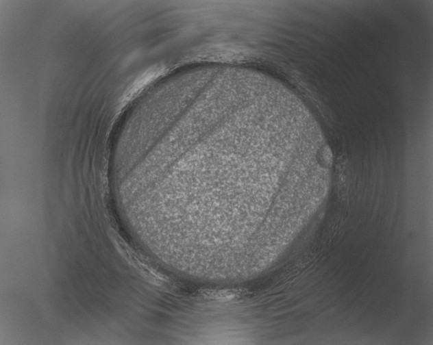 X0000076390679200611031656