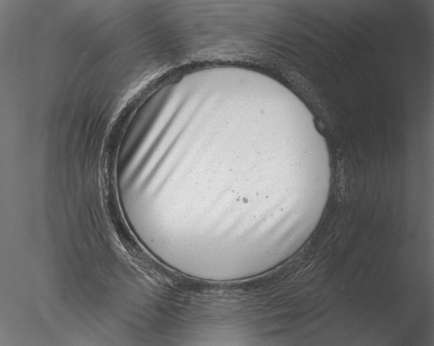 X0000076390680200611031656