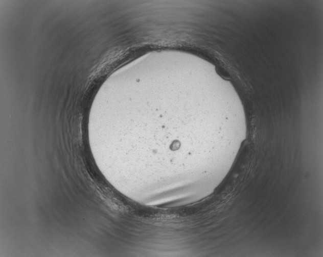 X0000076390685200611031656