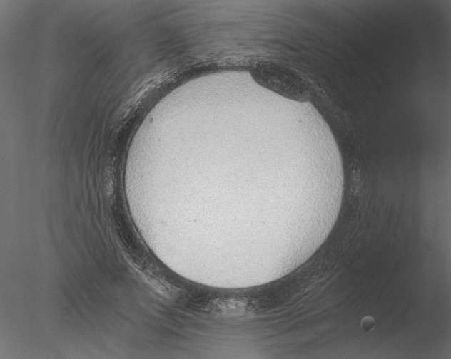 X0000076390687200611031656