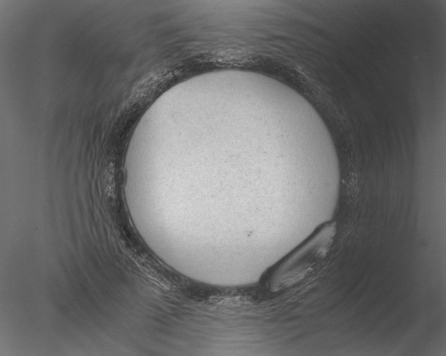 X0000076390689200611031656