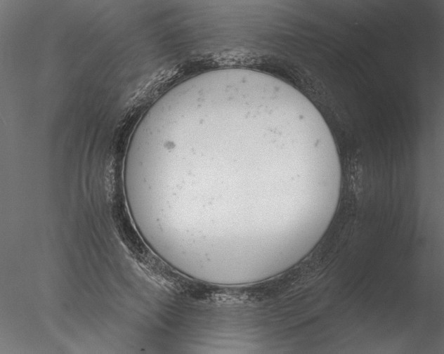 X0000076390690200611031656