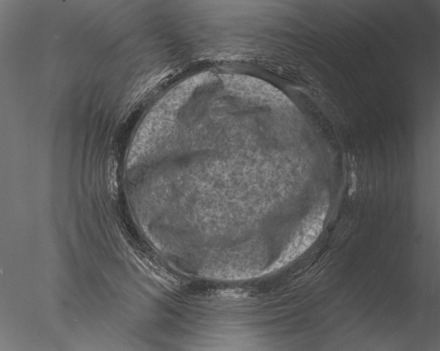 X0000076390692200611031655