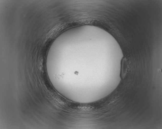 X0000076390693200611031655