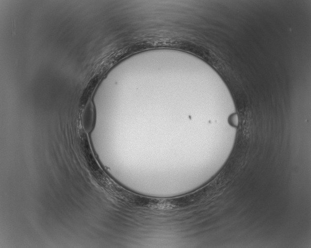 X0000076390695200611031655