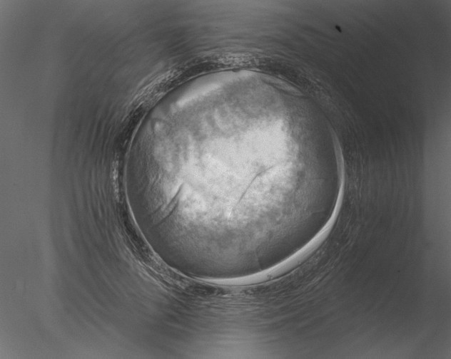 X0000076390696200611031655