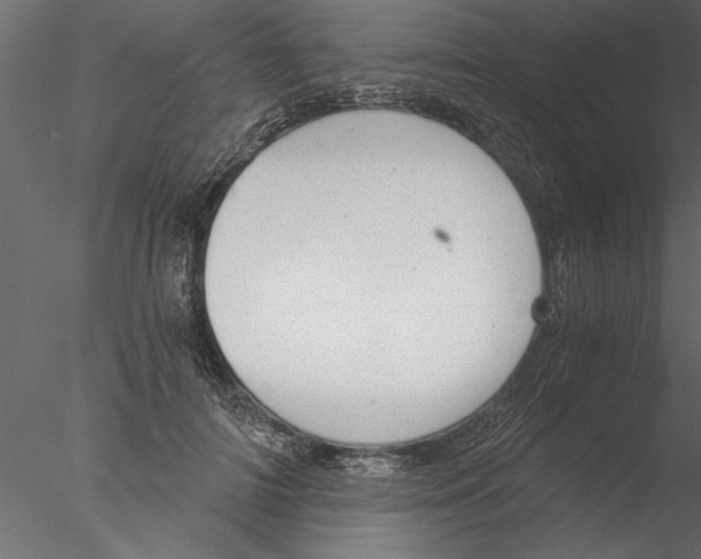 X0000076390698200611031655