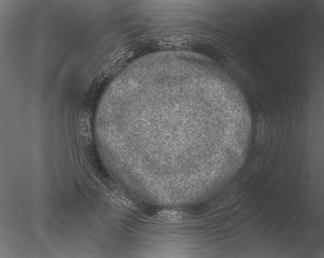 X0000076390699200611031655