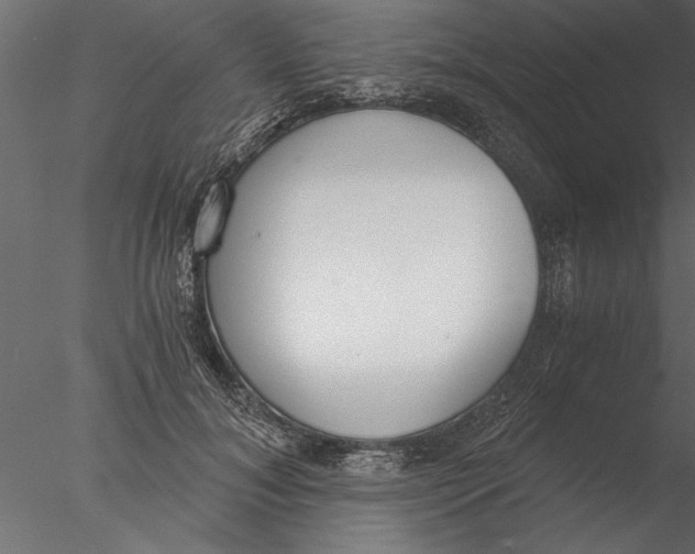 X0000076390700200611031655