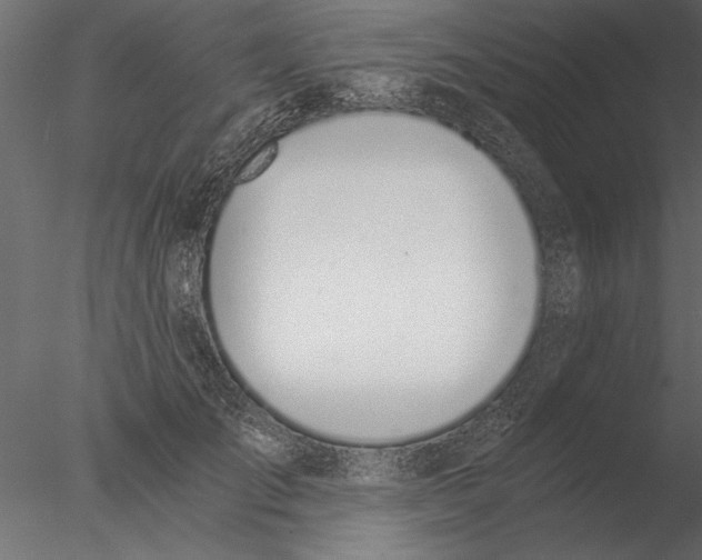 X0000076390701200611031655