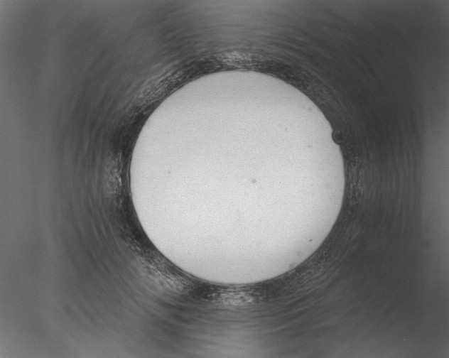 X0000076390702200611031655