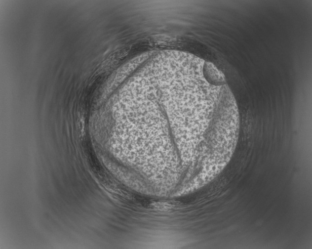 X0000076390703200611031655