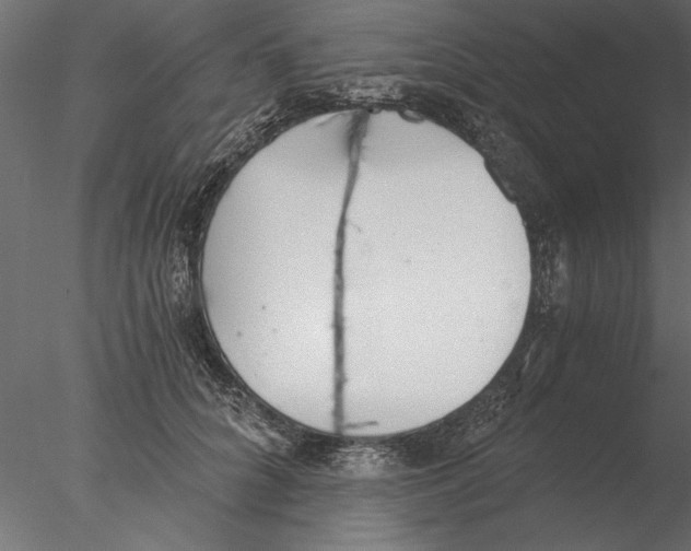 X0000076390704200611031655