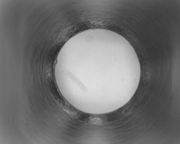 X0000076390706200611031655