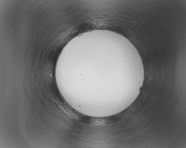 X0000076390710200611031655