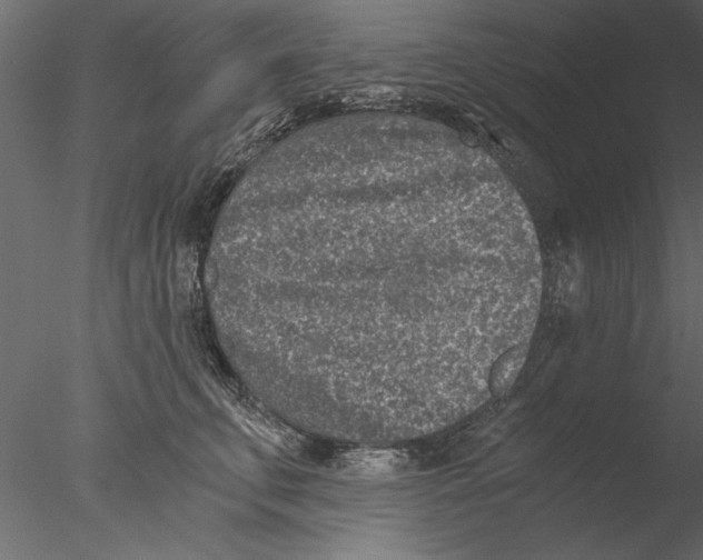 X0000076390711200611031655