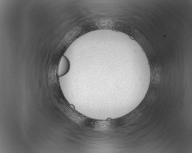 X0000076390717200611031655