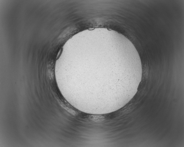 X0000076390719200611031655